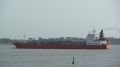Pertusola - estuaire - 26 janvier 2013 (07).JPG